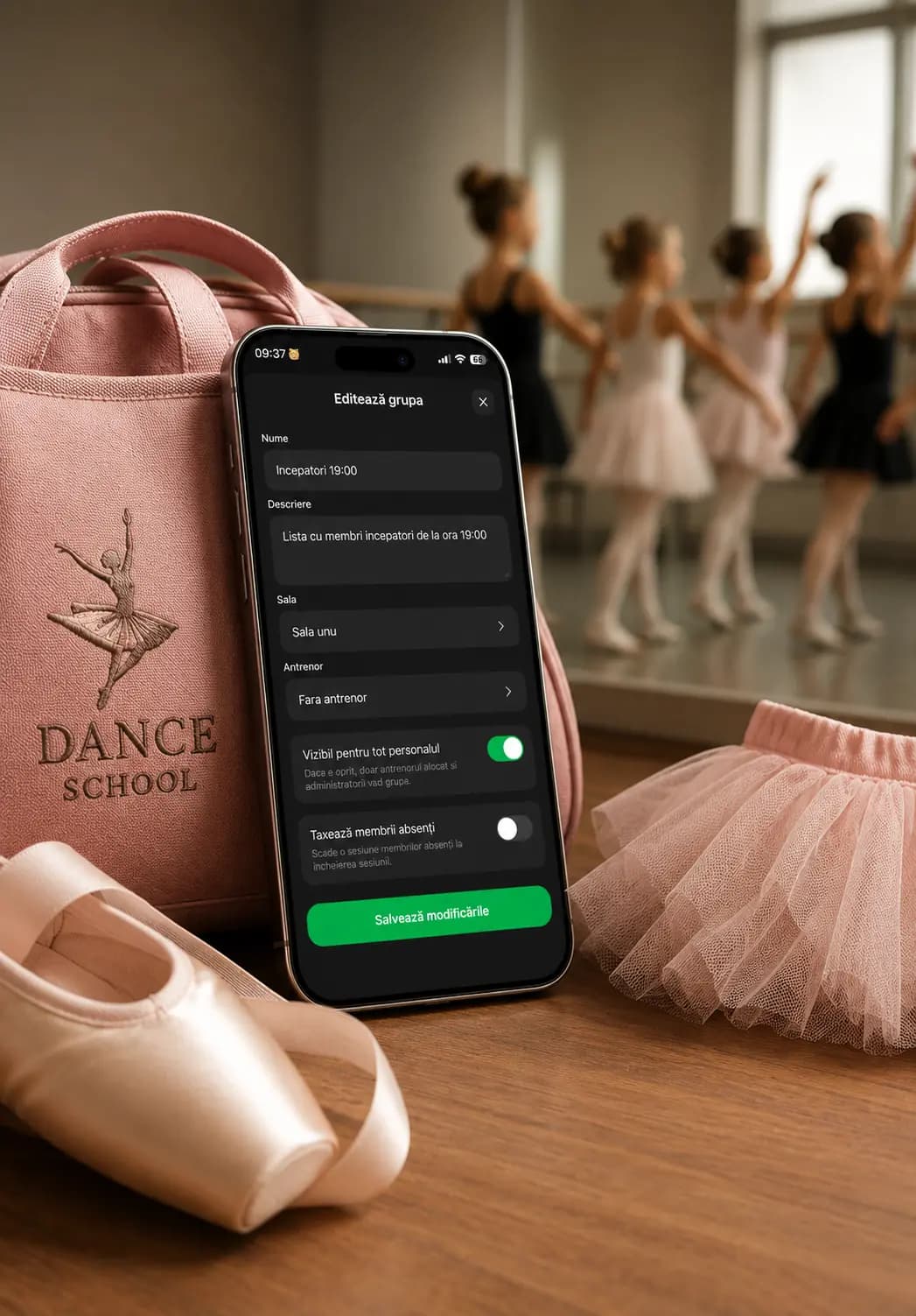 Școli de dans